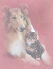 thumbnail of your picture 3